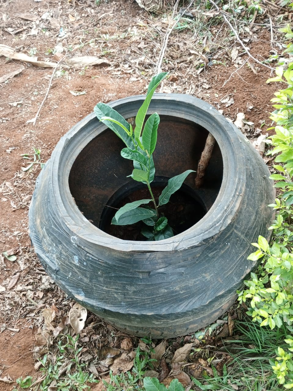 Create ecological working group